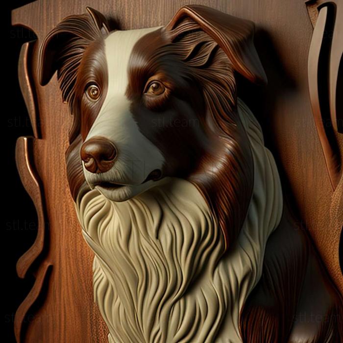 3D model Border Collie dog (STL)